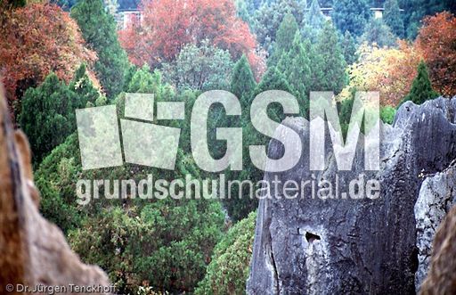 China (7 von 257).jpg